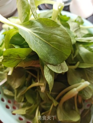 清炒鸡毛小青菜的做法步骤：1