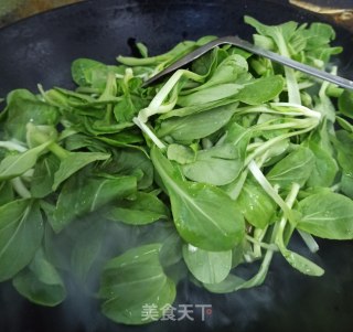 清炒鸡毛小青菜的做法步骤：2