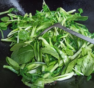 清炒鸡毛小青菜的做法步骤：3