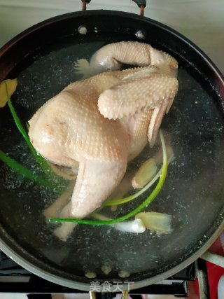 白切鸡的做法步骤：4