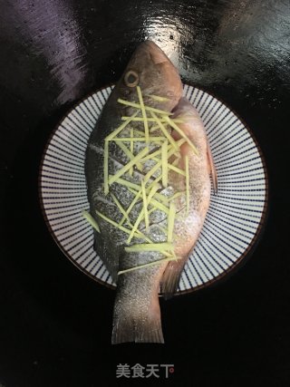 清蒸瓜子斑的做法步骤：4