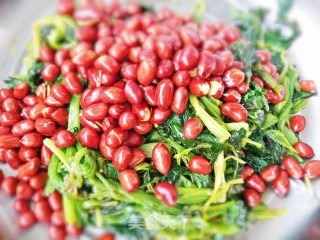 炝拌菠菜花生米的做法步骤：8