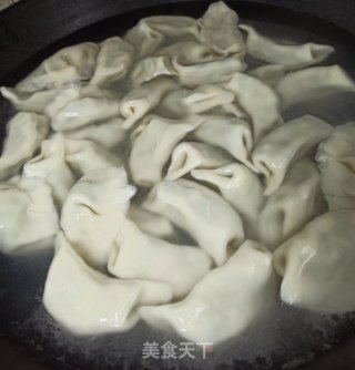 青菜肉饺的做法步骤：8