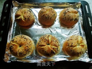淡香味烤馕的做法步骤：11