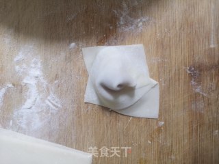 快手手工馄饨汤的做法步骤：5