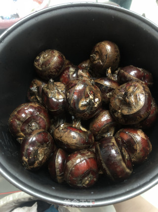 猪肉马蹄馅饺子的做法步骤：1