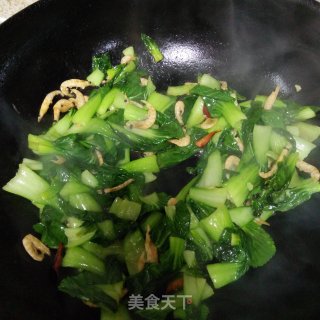 虾干炒油菜的做法步骤：5