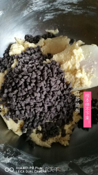 趣多多巧克力曲奇饼干的做法步骤：5