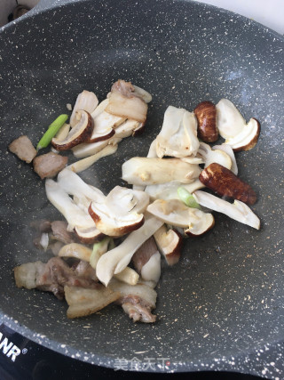 肉片姬松茸的做法步骤：8