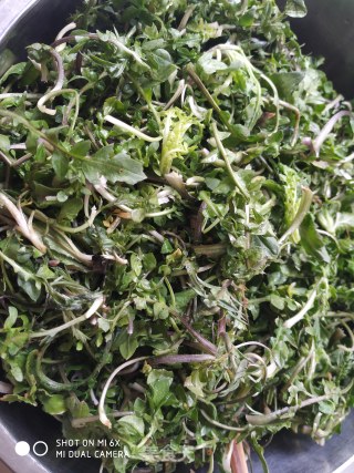 荠菜素水饺的做法步骤：1