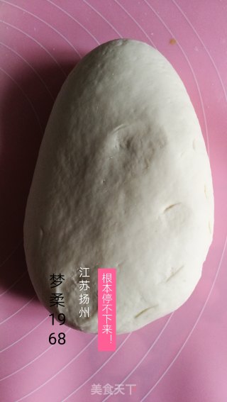 懒人模式一次性发酵的葱香馒头和白面馒头的做法步骤：4