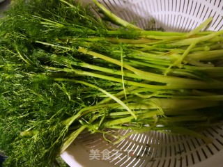 素馅包子-茴香鸡蛋馅包子的做法步骤：5