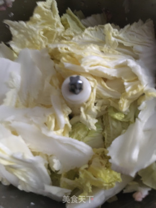 白菜姬松茸肉饺的做法步骤：12