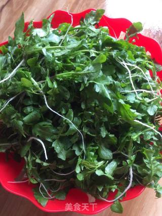 荠菜春卷的做法步骤：5
