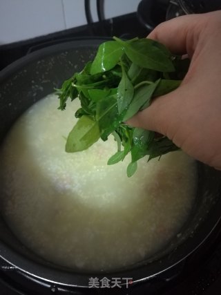 护眼枸杞叶瘦肉粥的做法步骤：5
