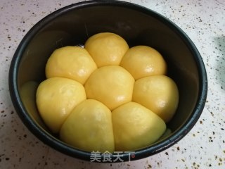 蒸面包的做法步骤：8