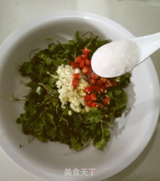 凉拌香菜的做法步骤：3