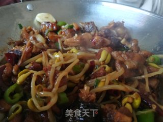 啤酒干锅鸡的做法步骤：10