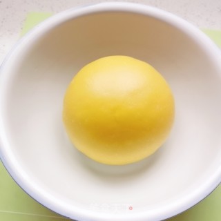 巧克力大理石花纹吐司面包的做法步骤：7
