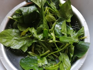 菠菜烧卖。的做法步骤：8