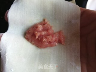 大馅馄饨的做法的做法步骤：4