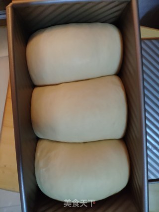 普通面粉土司的做法步骤：11