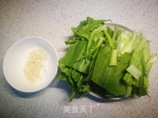 蒜蓉油麦菜的做法步骤：1