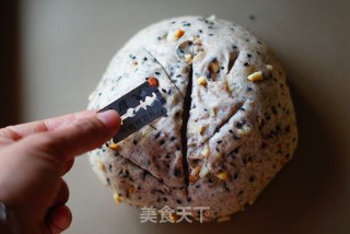 超多坚果的欧包的做法步骤：9