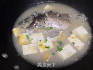 鲫鱼豆腐汤的做法步骤：9