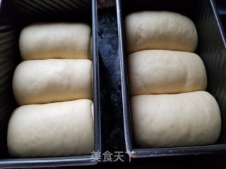波兰种吐司的做法步骤：13