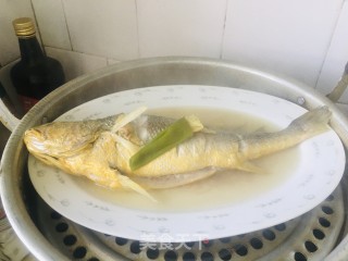 清蒸黄花鱼的做法步骤：5