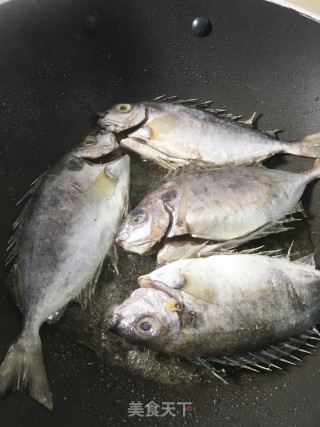 红焖泥猛鱼的做法步骤：2