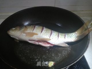红烧鲫鱼的做法步骤：3