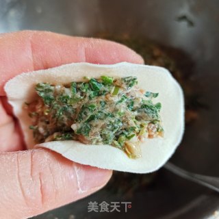 猪肉荠菜饺子的做法步骤：8