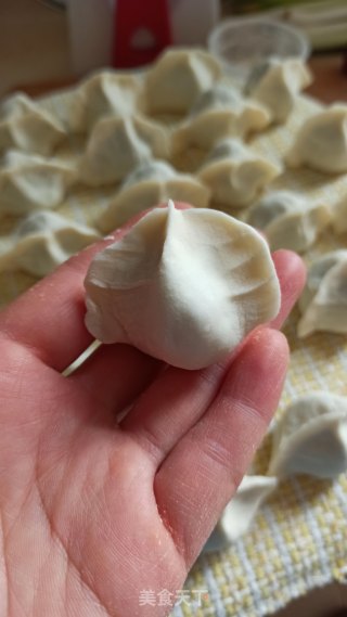 猪肉荠菜饺子的做法步骤：9