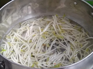鲍鱼干贝XO酱拌胡萝卜豆芽菜的做法步骤：3
