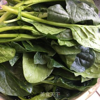 凉拌菠菜的做法步骤：1