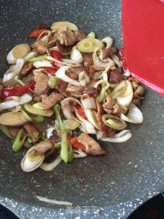 “春日应季美食”春葱炒肉的做法步骤：11