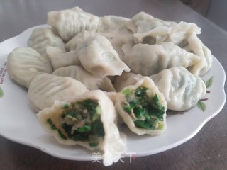 韭菜饺子的做法步骤：9