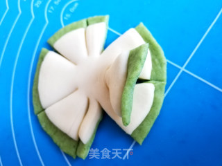 菠菜蝴蝶结卡通馒头的做法步骤：6