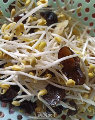 剁椒青蒜粒炒黄豆芽的做法步骤：2