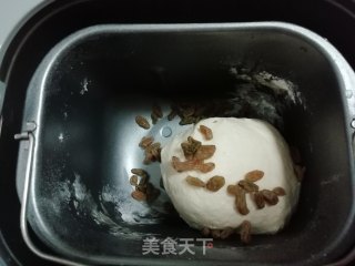 葡萄干小餐包的做法步骤：5