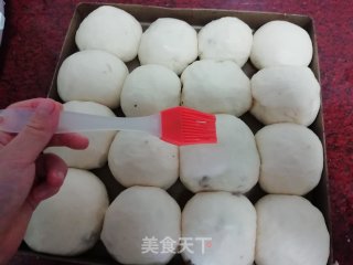 葡萄干小餐包的做法步骤：10