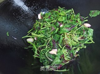 蒜炒红苋菜的做法步骤：5