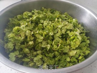 蒸榆钱——春日美味的做法步骤：2