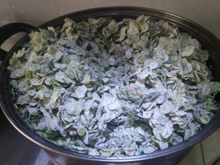蒸榆钱——春日美味的做法步骤：4