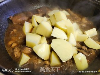鸭肉焖土豆的做法步骤：5