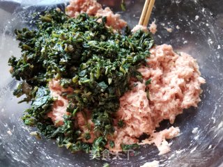 蒲公英猪肉馅生煎包的做法步骤：7