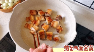 秘制红烧肉的做法步骤：11