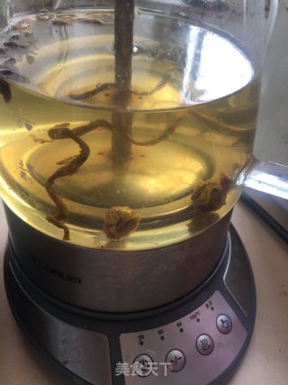 黄芪石斛枸杞水的做法步骤：7